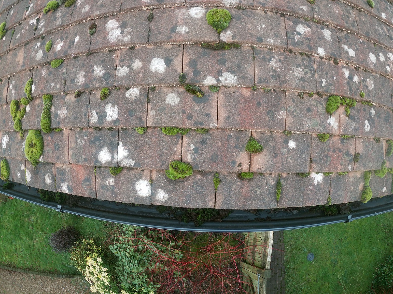 Debris cleared from guttering by H&C Cleaning and Maintenance in Hailsham