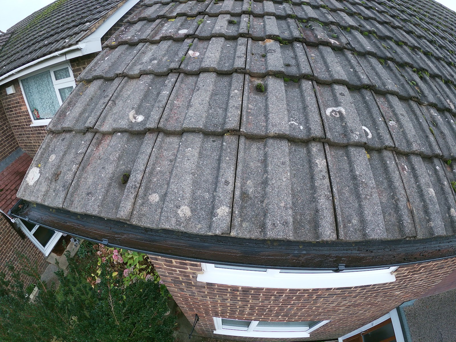 Roofline gutter inspection by H&C Cleaning and Maintenance in Hailsham