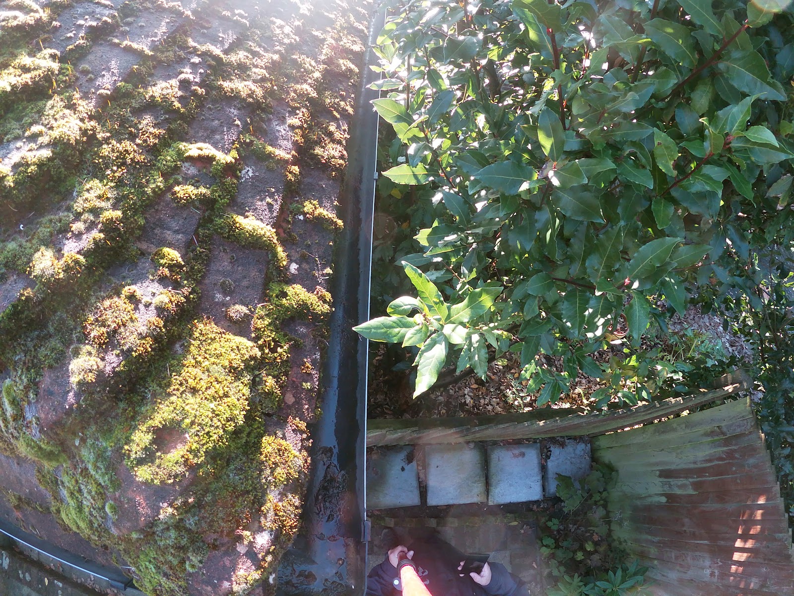 Gutter clear-out by H&C Cleaning and Maintenance in Hailsham
