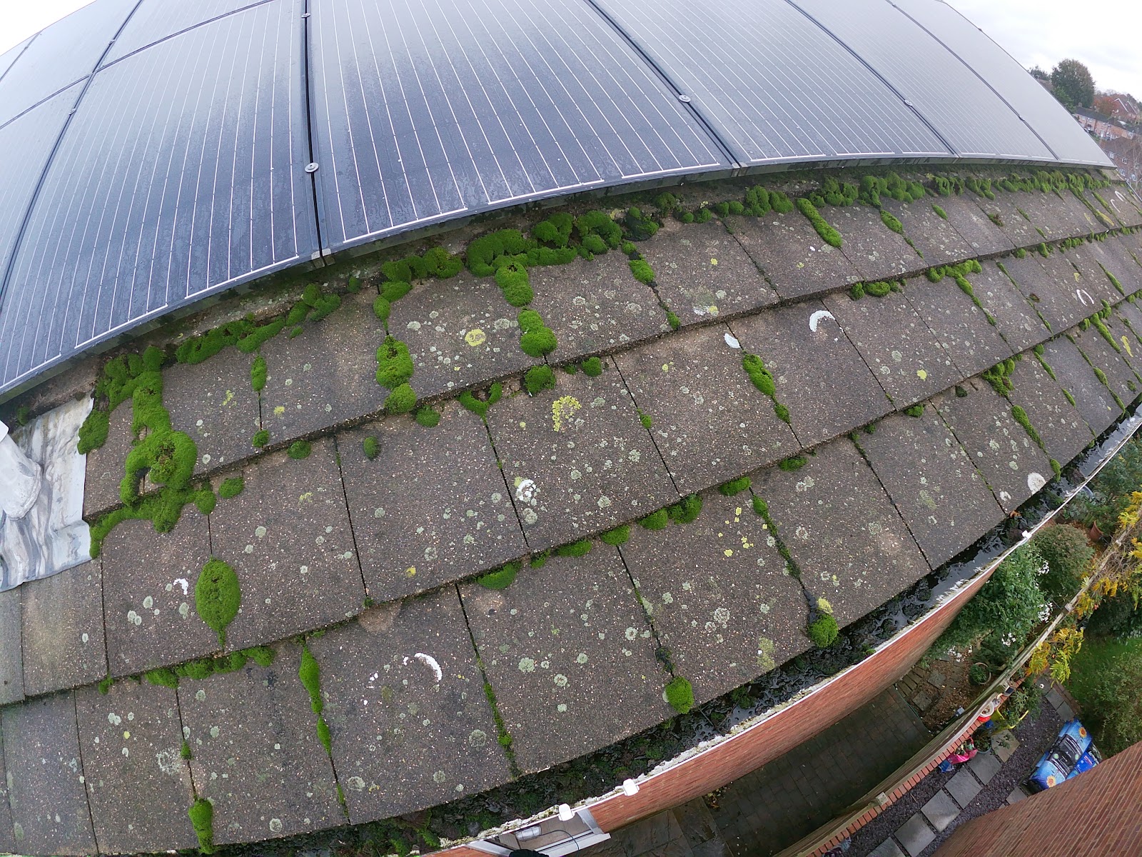 Gutter clearing over conservatory by H&C Cleaning and Maintenance in Hailsham