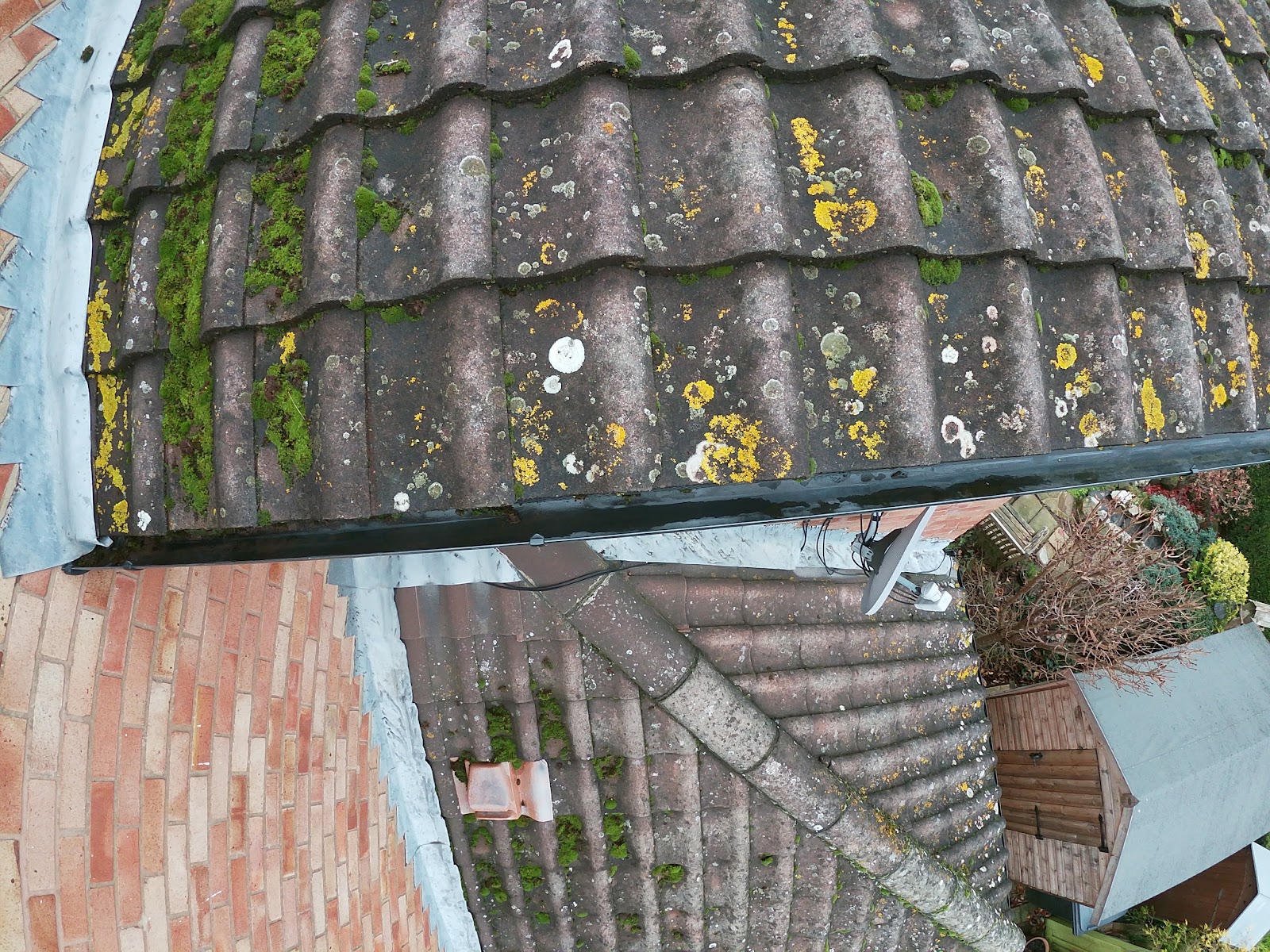 Roof and gutter survey by H&C Cleaning and Maintenance in Hailsham