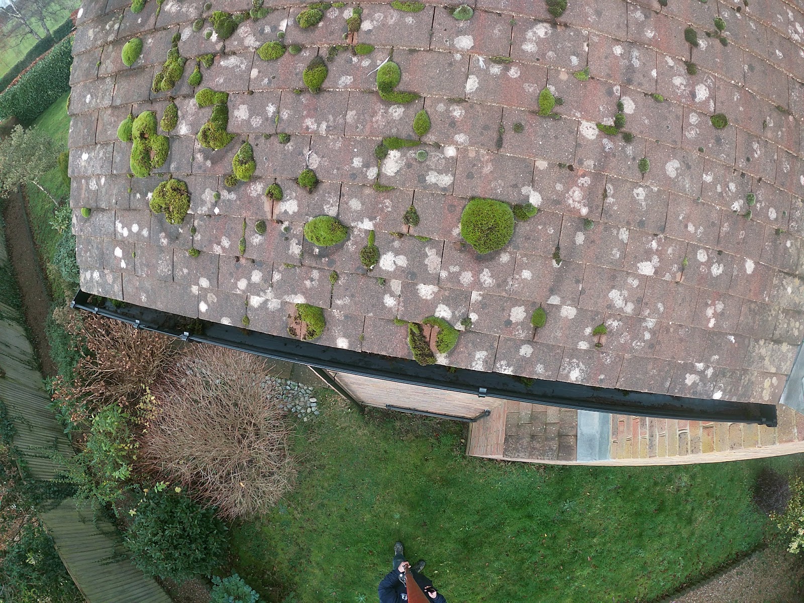 Moss removed from gutters by H&C Cleaning and Maintenance in Hailsham