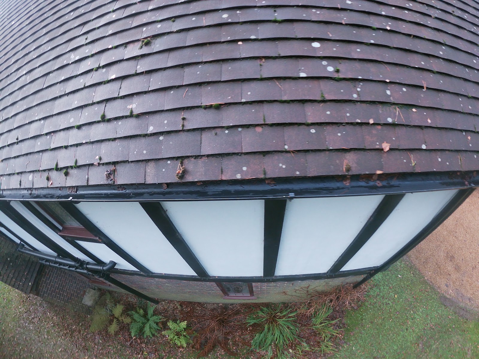 Gutter clearing over conservatory by H&C Cleaning and Maintenance in Hailsham