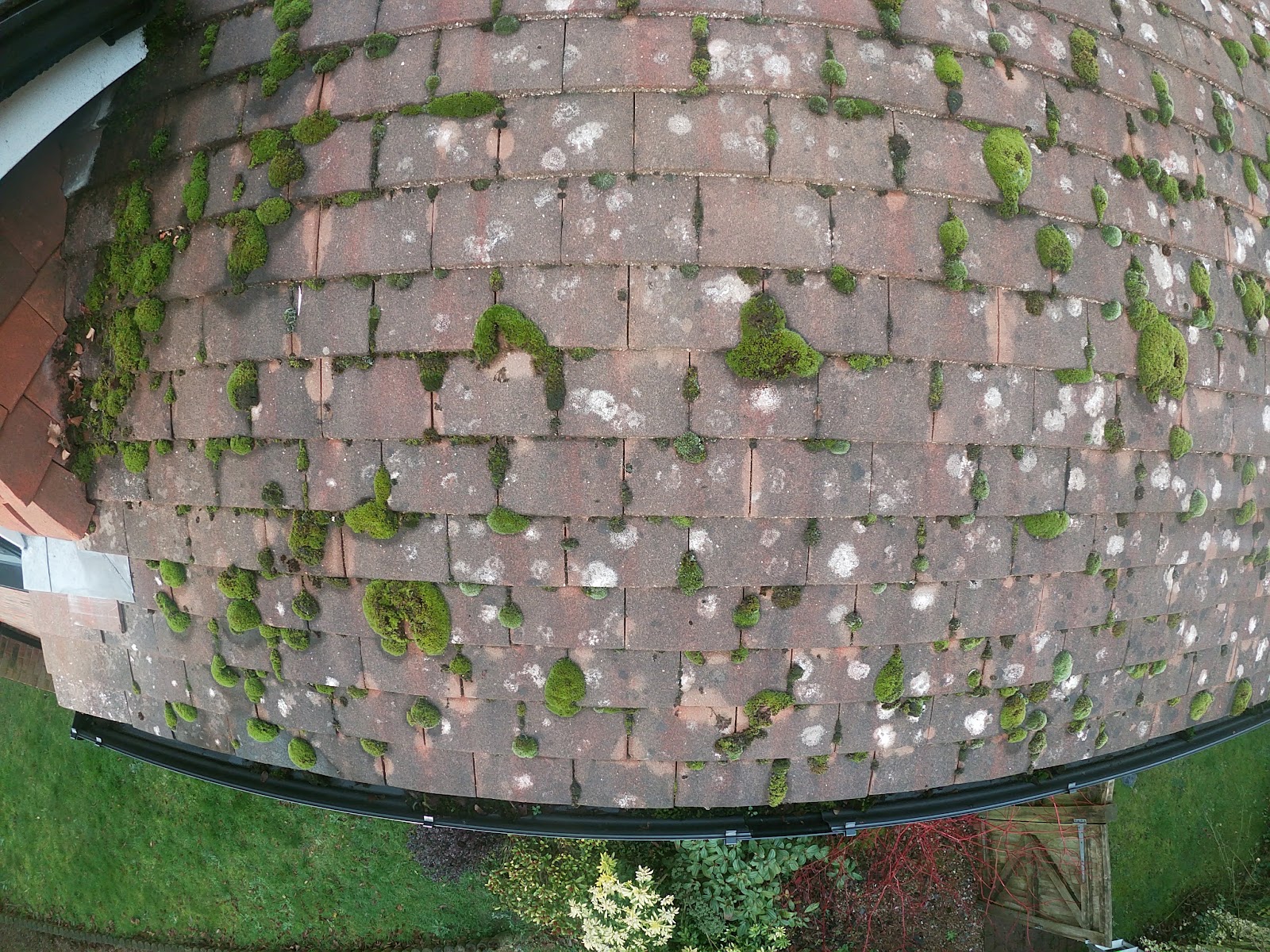 Roof and gutter survey by H&C Cleaning and Maintenance in Hailsham