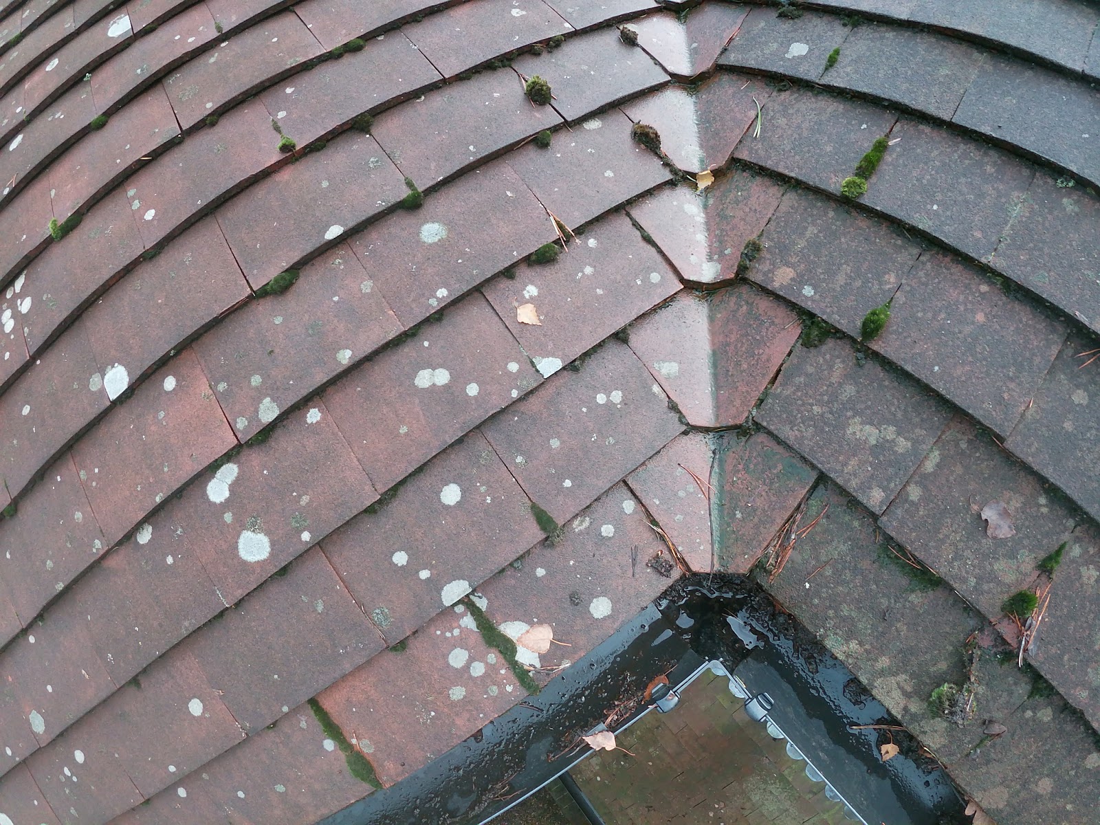 Gutter clear-out by H&C Cleaning and Maintenance in Hailsham